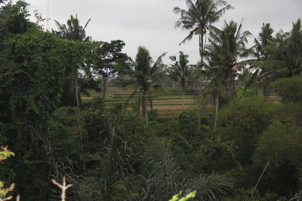 Ogek Ubud
