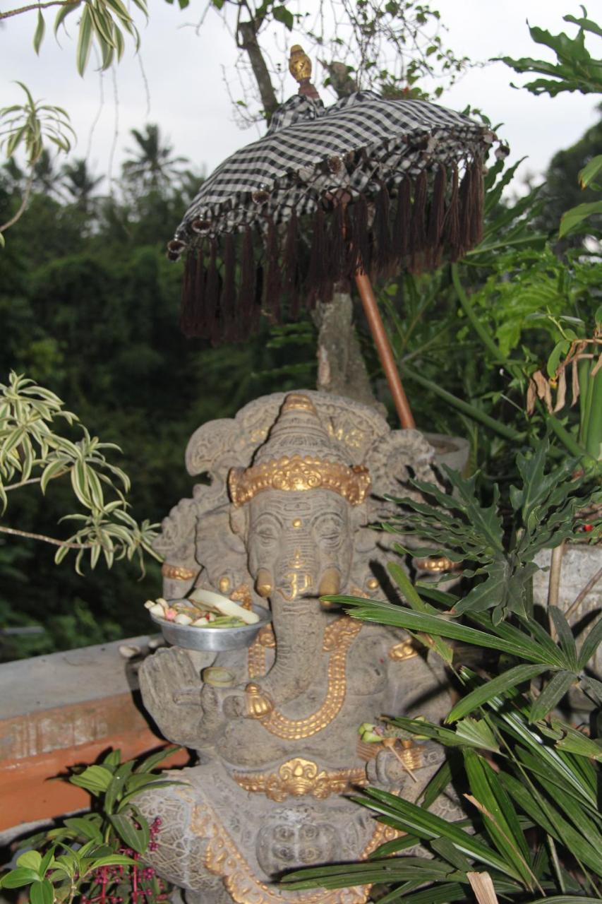 Ogek * Ubud